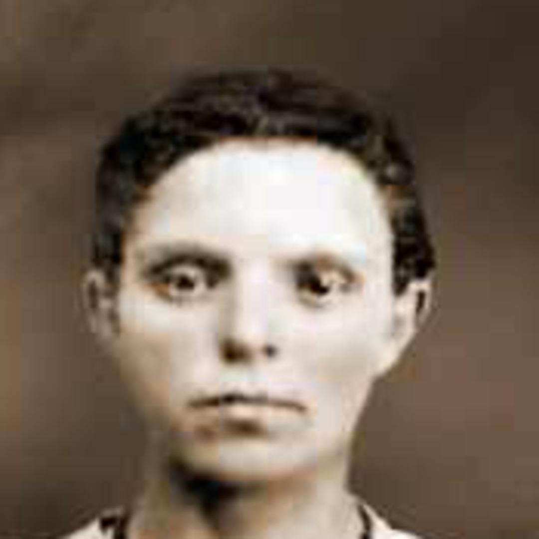 Sarah Jane Nisonger (1846 - 1938) Profile